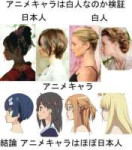 Japanese-vs-White-Profile-Structure.jpg