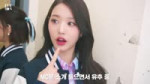 [IVE ON] 2023 YONSEI AKARAKA BEHIND-4.webm