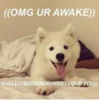 omg-ur-awake.png