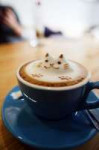 cappuchino-coffee-aroma.jpg