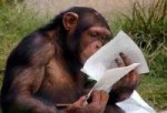 обезьяна-читает1.jpg