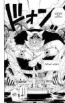 ONEPIECE13-004.jpgres.jpg