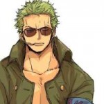 97f687b32a47575659f8bda17ca4e3fa-zoro-roronoa-monkey.jpg