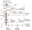 Phasediagironcarbon-Chernov