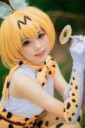 kitaroserval7.jpg