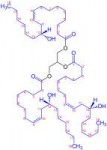 Castoroil(MainComponentStructuralFormulae)V2