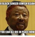 ablackginger-jewish-asian-you-can-alldiein-peace-now-138374[...].png