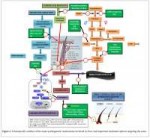 cosmetology-trichology-Schematically-outlines-2-105-g002.png