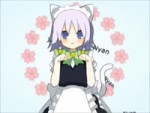 nyananime.webm