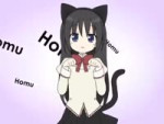 nyan homu.mp4