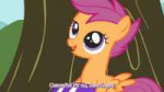 [M-KV2501] My Little Pony FiM 1x18 [WebDL] [1080p].mkvsnaps[...].jpg