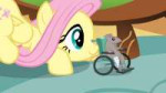 [M-KV2501] My Little Pony FiM 1x22 [WebDL] [1080p].mkvsnaps[...].jpg