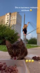 7127299770313493766 Чисто мое 30-летие😹🌚#кот #коты #котысмешные.mp4