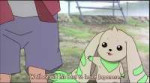 Digimon Adventure 02 - ZenpenKouhen.mp42022-09-07-01h19m47s597.jpg