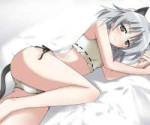 animgimages1734174-animalears-ass-panties-sanyavlitvyak-strikewitches-tail-underwear-white.jpg