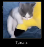 трахать.mp4