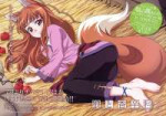 e-shuushuu.net - 171581 - Spice and Wolf - Horo - barefoot food ookami mimi smile tail.jpeg