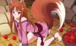 e-shuushuu.net - 181090 - Spice and Wolf - Horo - barefoot blush dress food ookami mimi smile tail.jpeg