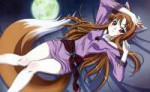 e-shuushuu.net - 183323 - Spice and Wolf - Horo - bed blush moon ookami mimi tail.jpeg