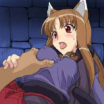 252452 - CL-55 Horo SpiceandWolf.jpg