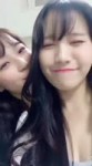 fromis.webm