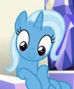 trixie.jpg