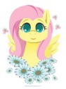 1551917safeartist-colon-robbiecavefluttershycutefemalemarep[...].jpeg