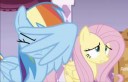 1536798safescreencapfluttershyrainbow+dashit+isnt+the+mane+[...]