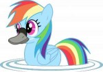 1548093safeartist-colon-twitchy-dash-tremorrainbow+dashbird[...]