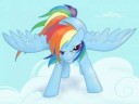 rainbowdashwannaracebynorthernlightsmlp-d5a5zac.png