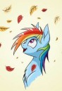 Rainbow-Dash-mane-6-my-little-pony-фэндомы-4147999