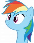 vector737rainbowdash75bydashiesparkle-dbgwxl4[1].png