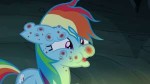 RainbowDashcompletelycoveredinFly-derbitesS7E16.png