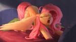 Fluttershy-mane-6-my-little-pony-фэндомы-4192108.jpeg