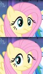 1635858safefluttershyfunnymemememe+faceponifiedponyreaction[...].png