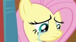 img-3441243-1-FluttershycryingS4E16.png