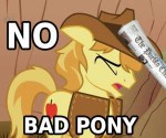 bad pony.png