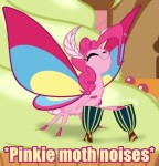 627897safesolopinkie+pieanimatedmemespecies+swapdiapinkesmo[...].gif