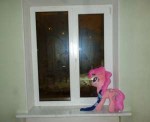 lonelyponk.png