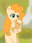 1732132safeartist-colon-chroniqloapplejackpear+butterbabyba[...].png