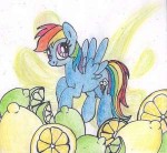 1701428safeartist-colon-pony-dash-paintrainbow+dashfemalefl[...].jpeg