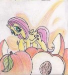 1701425safeartist-colon-pony-dash-paintfluttershyfemalefold[...].jpeg