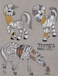 zecorapp,550x550.u4.jpg