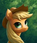 1024706safesoloapplejackportraitartist-colon-magwaizzz.png