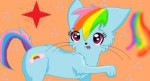 rainbowdashcatg3bywarriorcatslongtail-d509i99.png