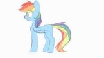 1747685safeartist-colon-yoditaxrainbow+dashanimatedponysolo[...].gif