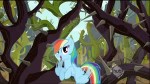 Rainbow Dash - Come on Slowpokes.webm