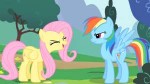 Fluttershy2ndyayS01E16[1].png