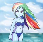 1138514suggestiveartist-colon-sumin6301rainbow+dashequestri[...].jpeg