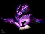 1134141safesolotwilight+sparkleprincess+twilightmagicbookpr[...].jpg